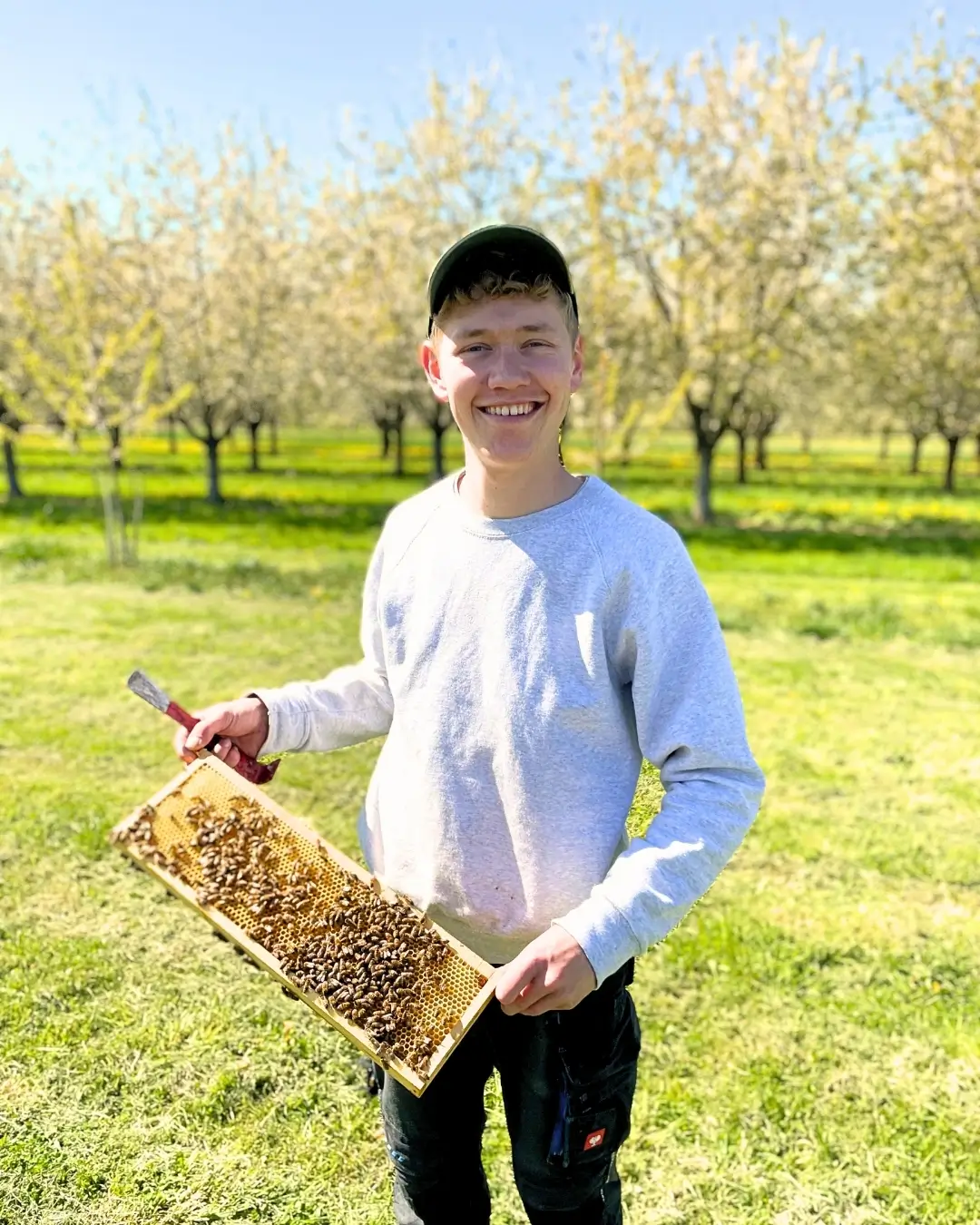Jonas mit Bienen Imker Jonas mit einigen Bienen